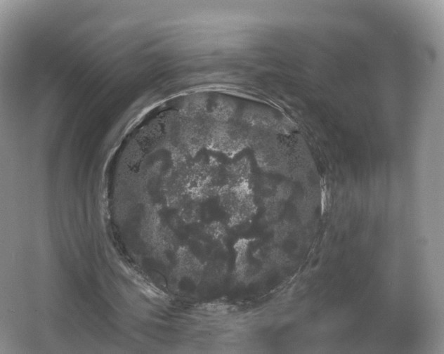 X0000064720339200602131230