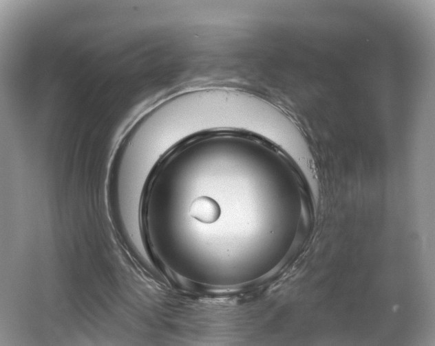 X0000064720340200602131230