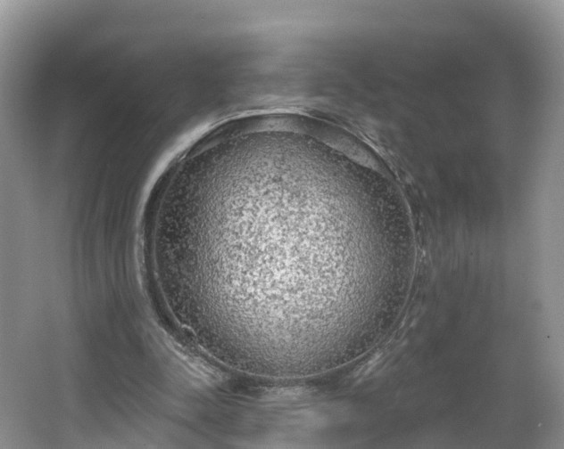 X0000064720342200602131230