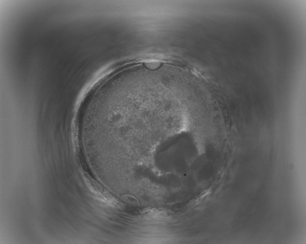 X0000064720343200602131230