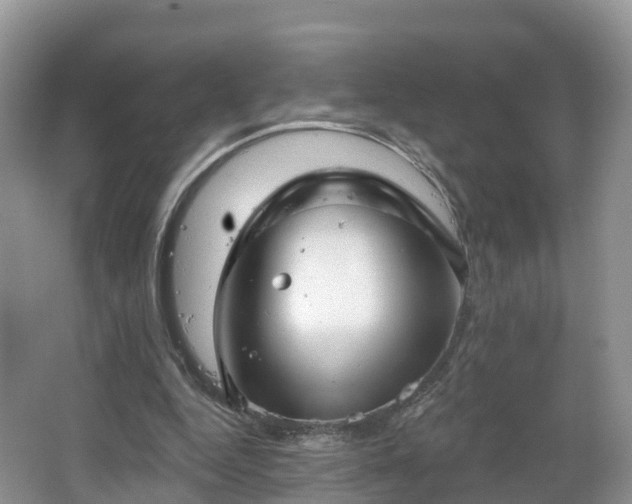 X0000064720344200602131230