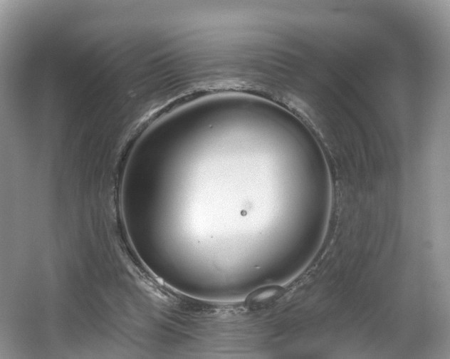 X0000064720345200602131230