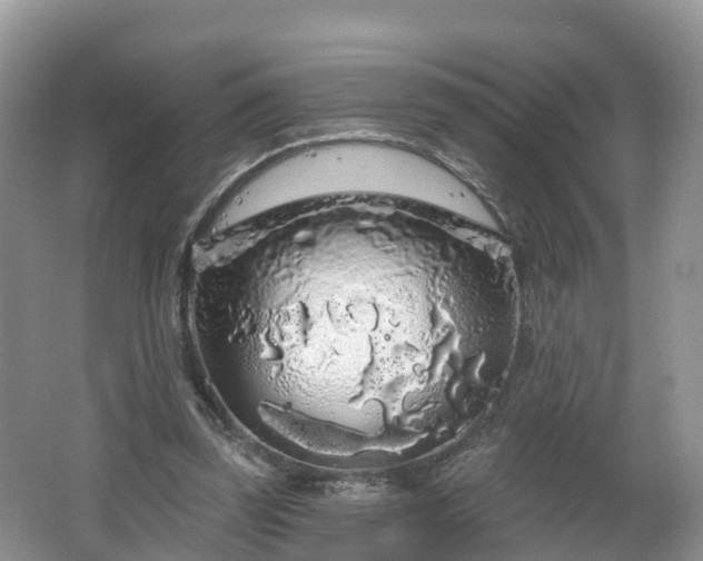 X0000064720347200602131230