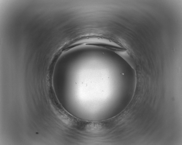 X0000064720354200602131230