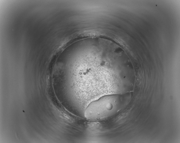 X0000064720355200602131230