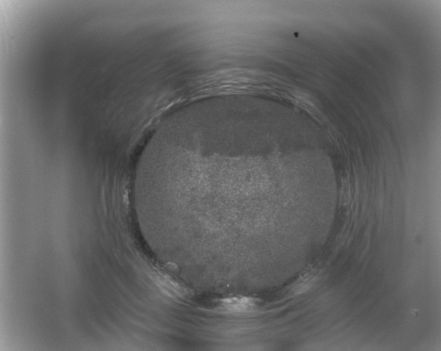 X0000064720363200602131230