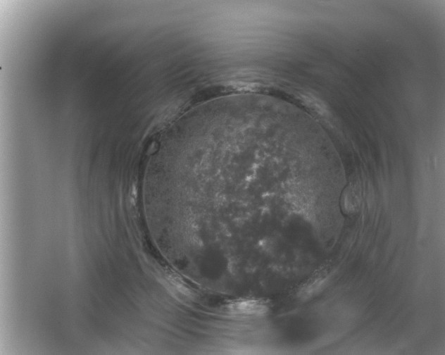 X0000064720365200602131230