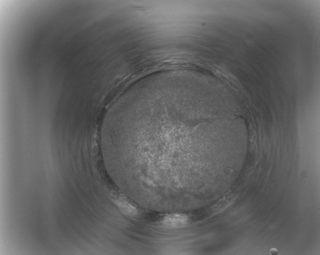 X0000064720369200602131230