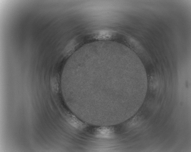 X0000064720370200602131230