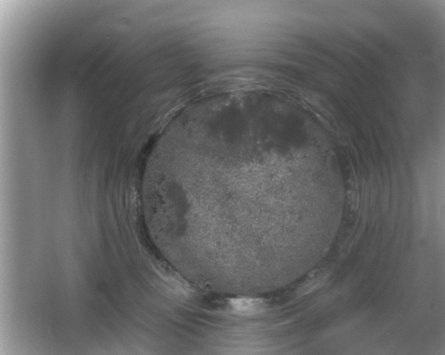 X0000064720371200602131230