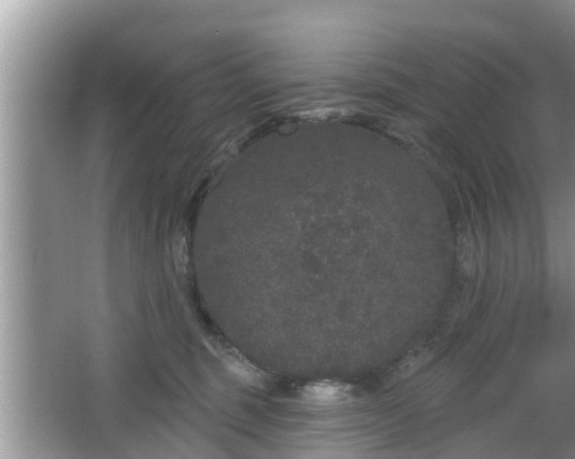 X0000064720375200602131230