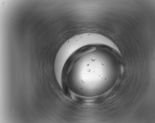 X0000064720380200602131230