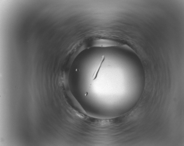 X0000064720384200602131231