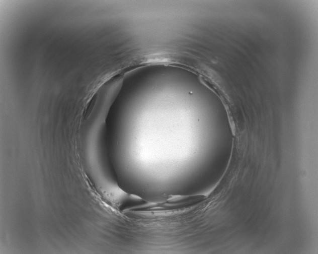 X0000064720385200602131230