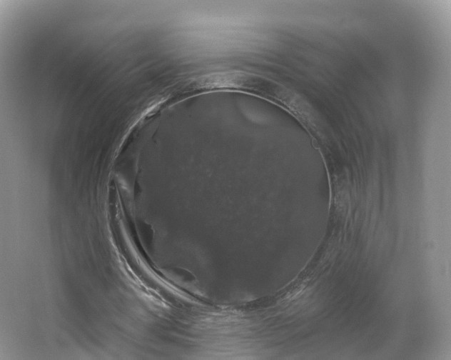 X0000064720386200602131230