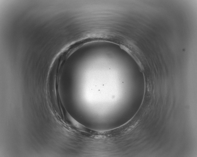 X0000064720388200602131230