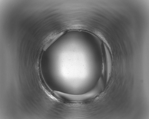 X0000064720389200602131230