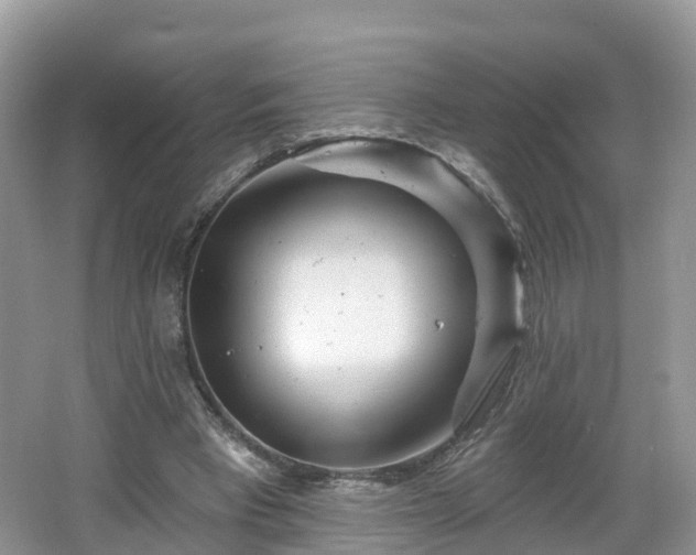 X0000064720393200602131230