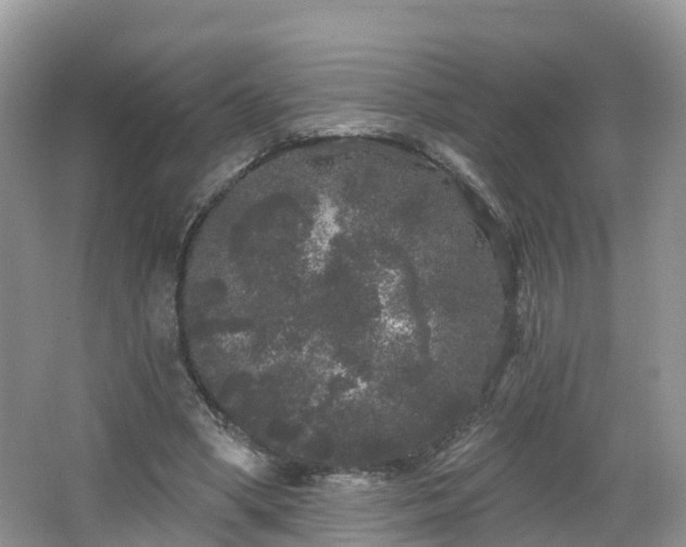 X0000064720394200602131230