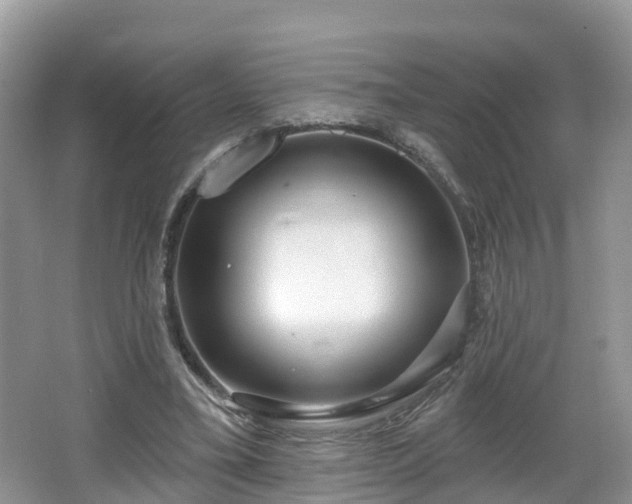 X0000064720395200602131230