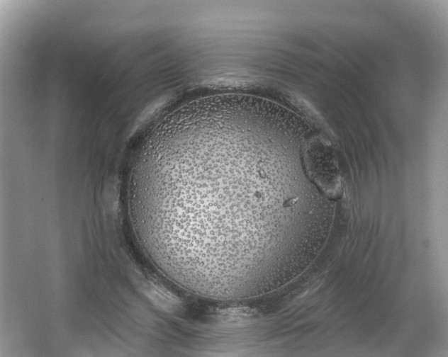 X0000064720396200602131230