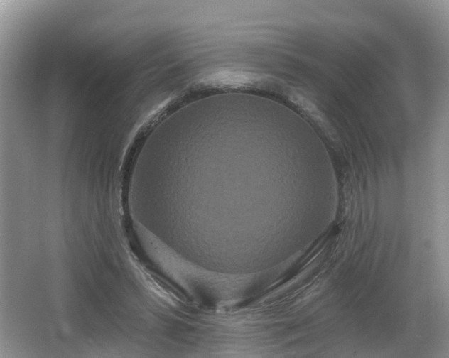 X0000064720399200602131230