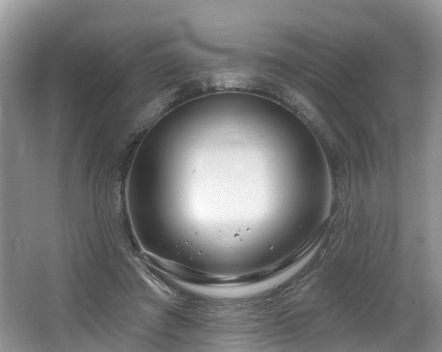 X0000064720401200602131229