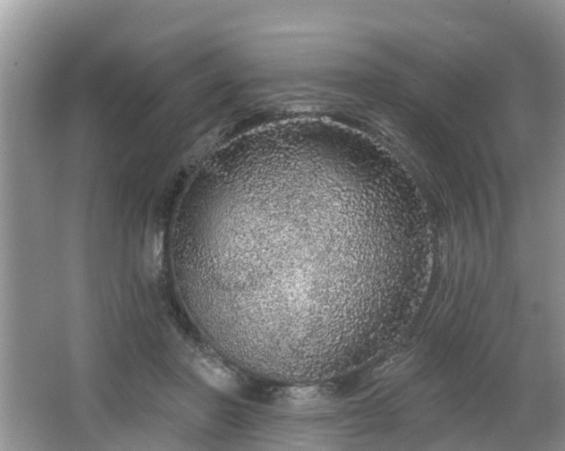 X0000064720406200602131229