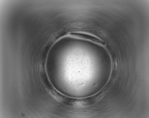 X0000064720408200602131229