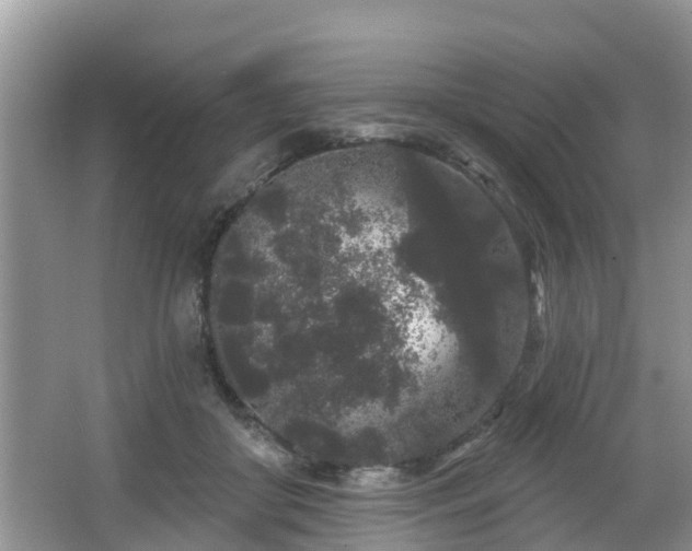 X0000064720410200602131229