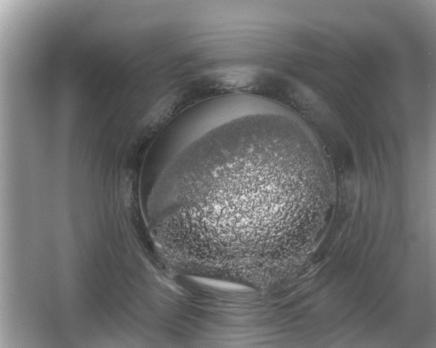 X0000064720412200602131229