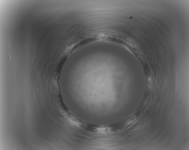 X0000064720415200602131229