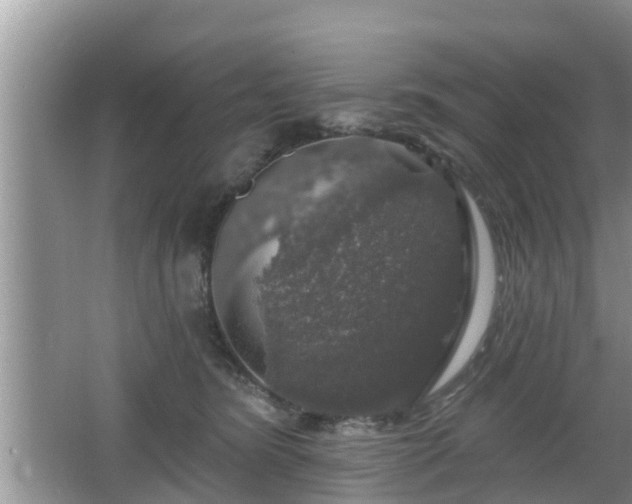 X0000064720420200602131229