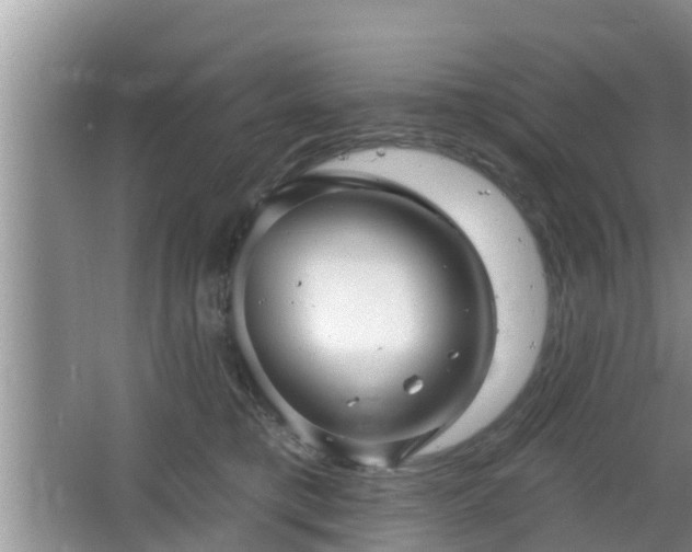 X0000064720421200602131229