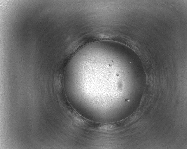 X0000064720422200602131229