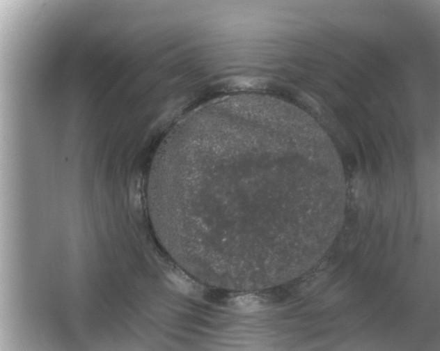 X0000064720423200602131229