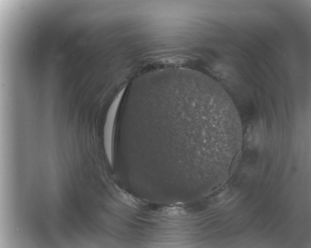 X0000064720424200602131229