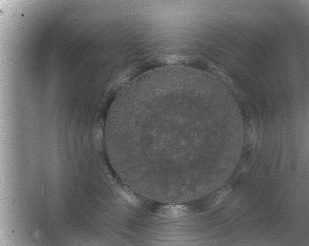 X0000064720427200602131229