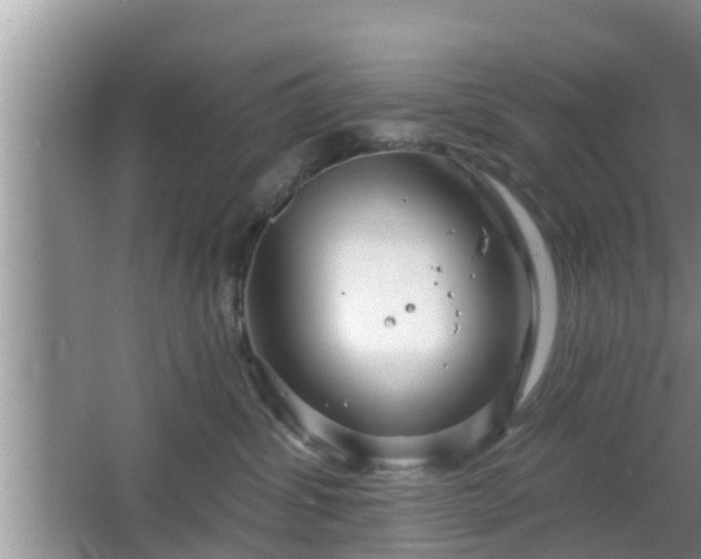 X0000064720428200602131229