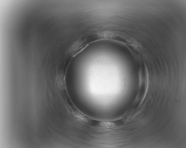 X0000064720429200602131229