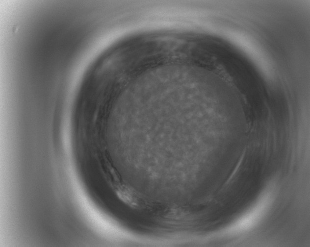 X0000064720431200602131229