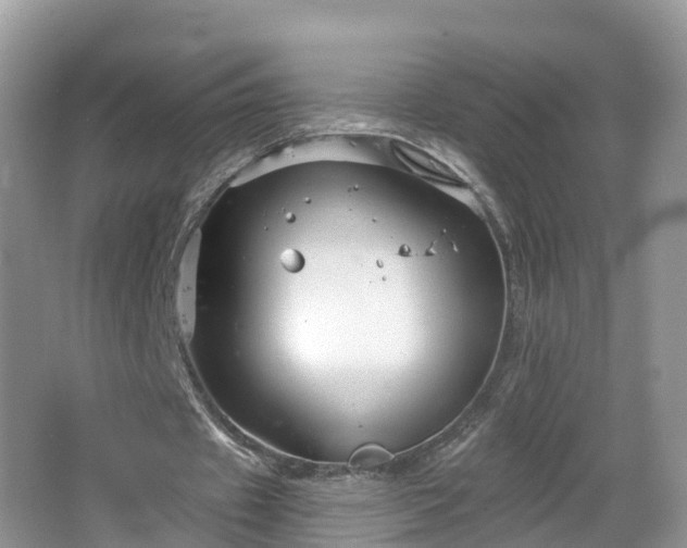 X0000064720433200602131228