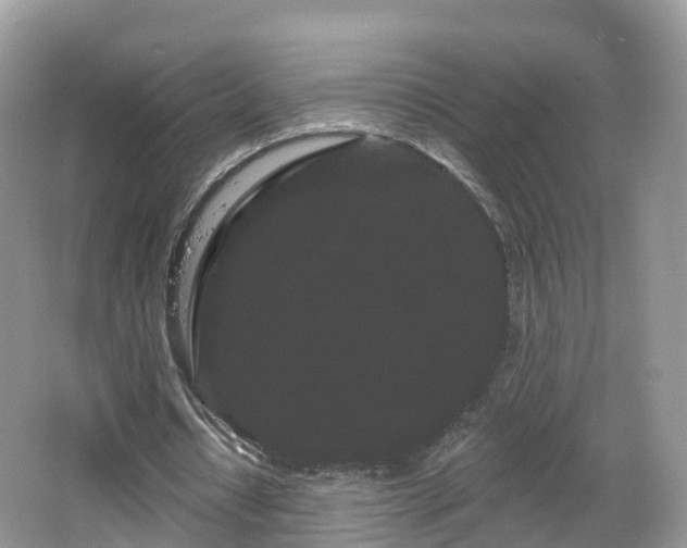 X0000064720434200602131228