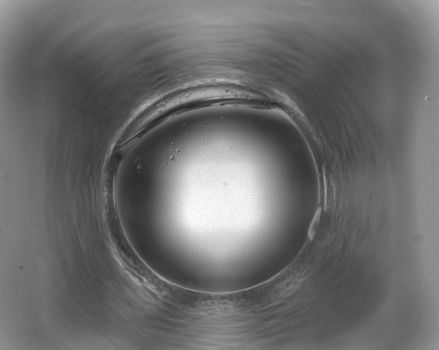 X0000064720435200602131228