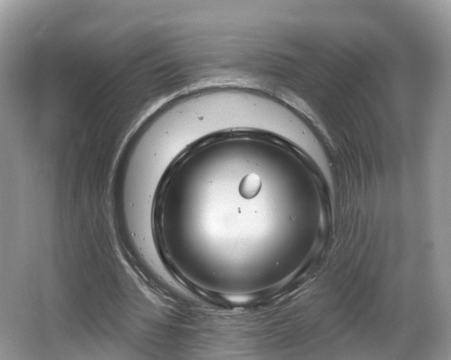 X0000064720436200602131228