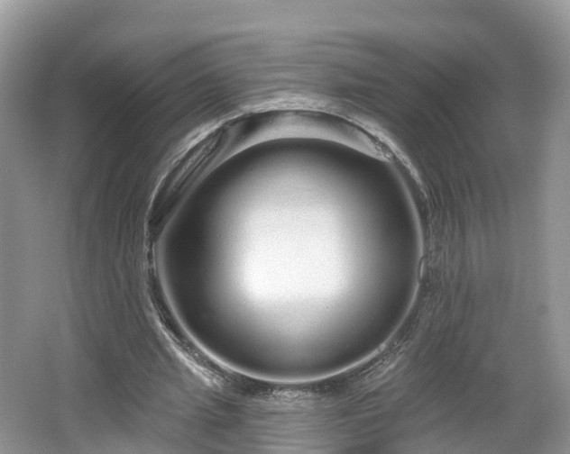 X0000064720437200602131228