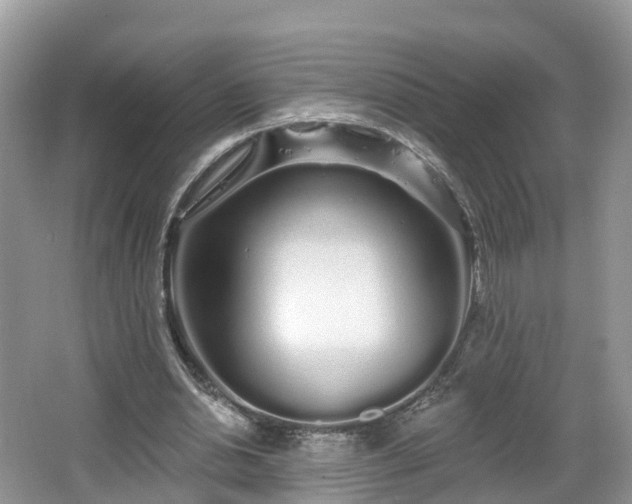 X0000064720438200602131228