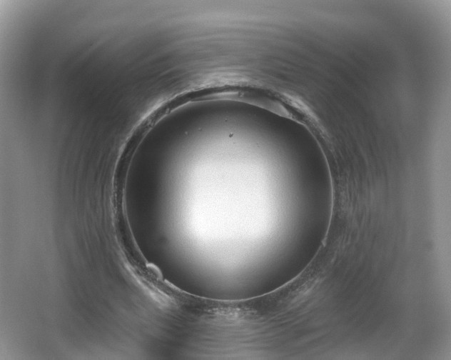 X0000064720439200602131228