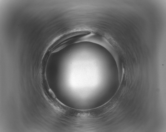 X0000064720440200602131228