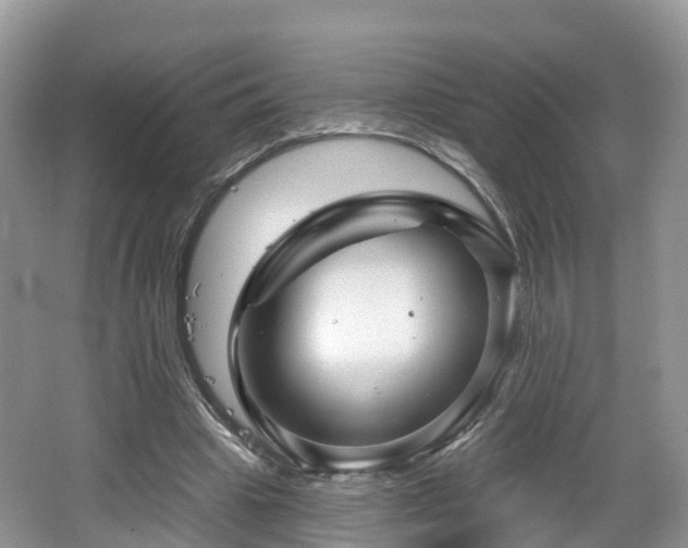 X0000064720441200602131228